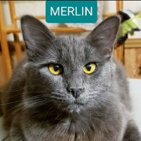 Marlene Collis (@collismarty) 's Twitter Profile