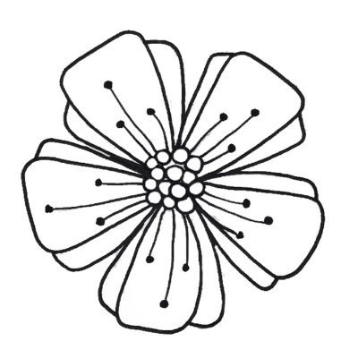 💮rose_white💮さんのプロフィール画像