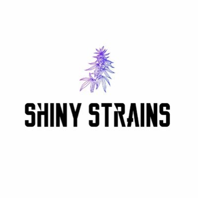 Online Shop für Cannabis aus erster Hand! Bezahlung und Versand verlaufen 100% anonym.