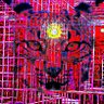 lyynxclub's profile picture. MEMBERS IN FOLLOWING
