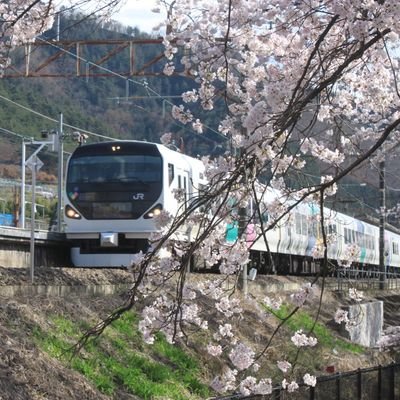 しゃちっこ。(フォロー整理中・自己紹介に書かれてる趣味以外のフォロワーさん対象)