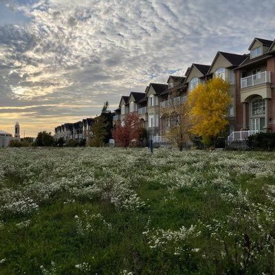 F1yGate's profile picture. 