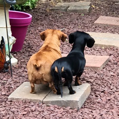 MoonWitman's profile picture. 