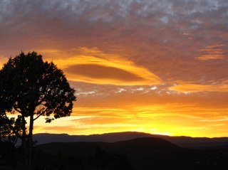 JodiMoses's profile picture. 