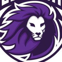 Emerson Esports (@emerson_esports) 's Twitter Profile