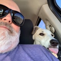John Owen (@dreamingelvis) 's Twitter Profile Photo John Owen (@dreamingelvis) 's Twitter Profile Photo