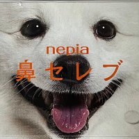 CIAOちゅ〜る(非公式) (@kqdog1987) Twitter profile photo
