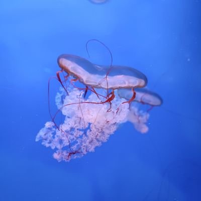 Michael02943564's profile picture. 