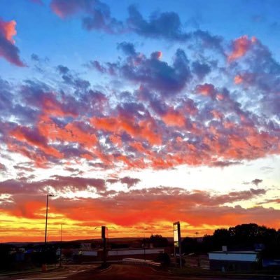 Jarell84028264's profile picture. #KingVamp🧛