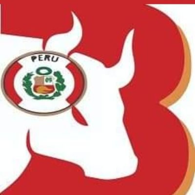 Compra y venta de BITCOIN, ETHEREUM Y TETHER de la manera más fácil y rapida con las mejores tasas de la region