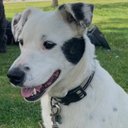 chuck schuyler - @SchuylerChuck - Twitter