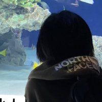 蘭 (@wazemwnehwl68o1) 's Twitter Profile