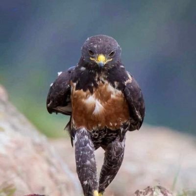 Anita80404055's profile picture. 