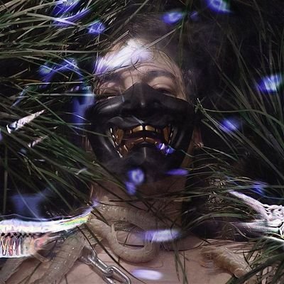 ne plach'さんのプロフィール画像