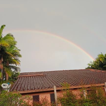 susiabrile's profile picture. 