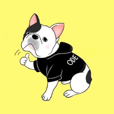 超開封軍団応援団!TikTok、YouTubeでの動画チェックお願いします😍ワンピカ最新情報や新弾大量開封などなど!是非視聴、登録お願いします🙏 豊岡市のアンカー様にて非公認大会ek杯も宜しくお願い致します🙏
