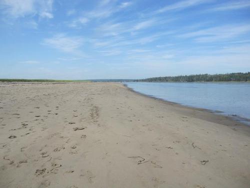 Keightyo's profile picture. Toronto-based arts worker | Likes: autumn, weekends, coffee. | Dislikes: olives. | she/her