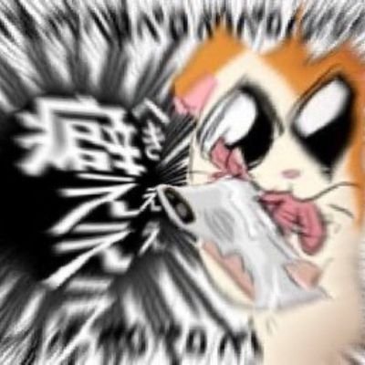 サシミ໒꒱さんのプロフィール画像