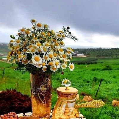 qtyab7's profile picture. Q.