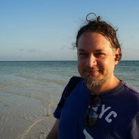 Stefano Toldo (@toldostefano) 's Twitter Profile