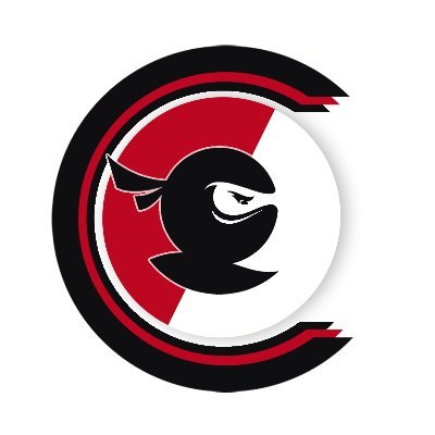 CynetN's profile picture. IG: @cynet_ninja
https://t.co/eXLazbfKhC