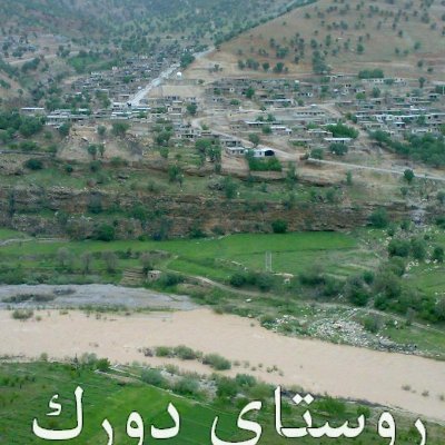 دورک شاپوری(دورک اناری)، روستایی از توابع دهستان مشایخ بخش ناغان، شهرستان اردل در استان چهارمحال و بختیاری است.