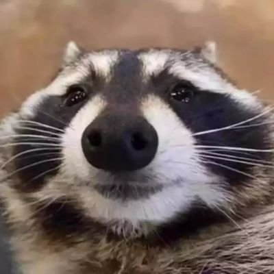 LeoNaylor12's profile picture. 