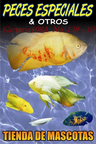 PecesEspecyOtro's profile picture. Tienda de Mascotas.