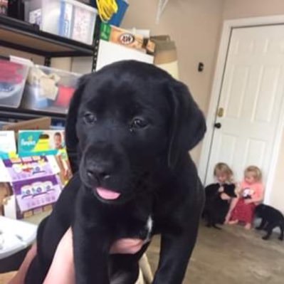 Maggieanne01's profile picture. I’m a fair bridge player