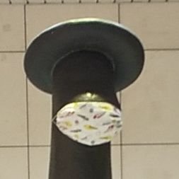 IZK010906070RKJ's profile picture. ツイッターは陸上関係と練習記録を主に、ラジオ、庭園、神社、建築、町歩き、政治などを適当につぶやきます。