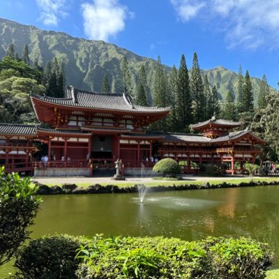 bogdan_costache's profile picture. 