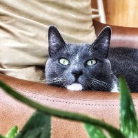 Web3 and Cannabis (@web3420) 's Twitter Profile