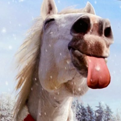 AshleeKenns's profile picture. 