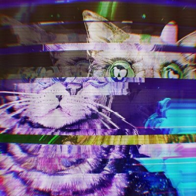 nullmox's profile picture.