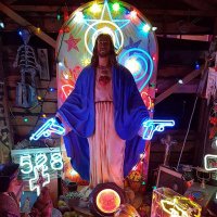 Matthew ☀️🔆 (@willcha16858507) 's Twitter Profile