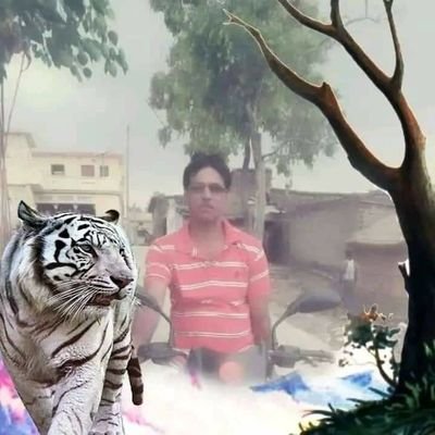 Ravikant Singh