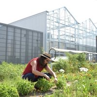 Dr. Jen M. Bousselot (@jenbousselot) 's Twitter Profile Photo Dr. Jen M. Bousselot (@jenbousselot) 's Twitter Profile Photo