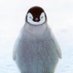 beersingha(✸,✸)Reddio(Ø,G) (@sermchartpun) Twitter profile photo beersingha(✸,✸)Reddio(Ø,G) (@sermchartpun) Twitter profile photo