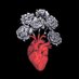 قلب (@1agh_) Twitter profile photo قلب (@1agh_) Twitter profile photo