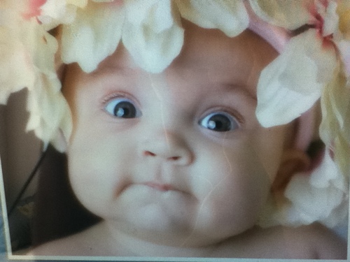 johndwell2's profile picture. 