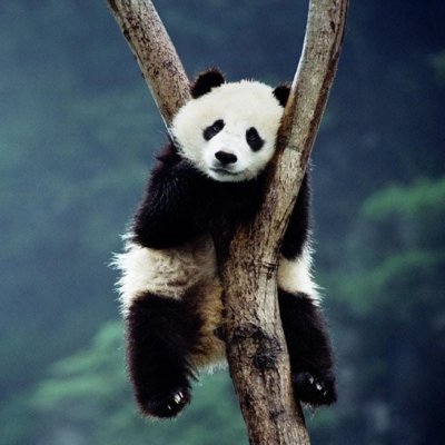 AdahCalifano's profile picture. Follow me, Follow Back 💯 #Crypto $#NFT #Bitcoin #BNB #OKEX #Airdrop