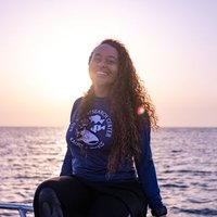 Bárbara Ribeiro, Ph.D. (she/her) (@barbribeiro09) 's Twitter Profile Photo Bárbara Ribeiro, Ph.D. (she/her) (@barbribeiro09) 's Twitter Profile Photo