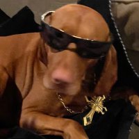 Drago (@qdrago_) 's Twitter Profile Photo Drago (@qdrago_) 's Twitter Profile Photo