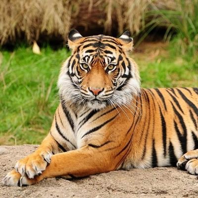 ismetKa92992605's profile picture. 