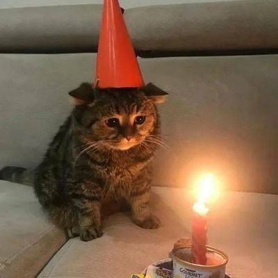 rid_haii's profile picture. oi
♤