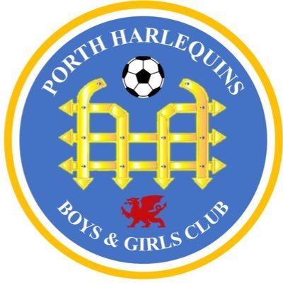 PorthQuinsFC Profile Picture