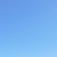 らい (@marumiobiru_) 's Twitter Profile Photo