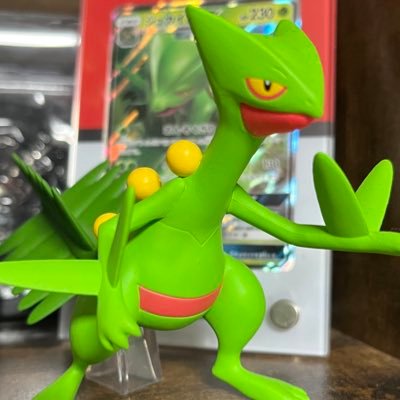 趣味アカ ポケモン/のりプロ/白雪みしろ/胡桃澤もも/ホロ 初めてしたゲームドラクエⅦから引用 一応ポケカのジャッジしてます。