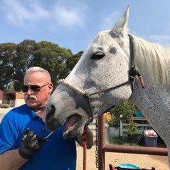 Horse Dentist and Author: Fifty Thousand Years, Amazon- by Casa del Lobos-0311, no DMs