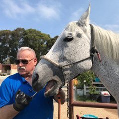 Horse Dentist and Author: Fifty Thousand Years, Amazon- by Casa del Lobos-